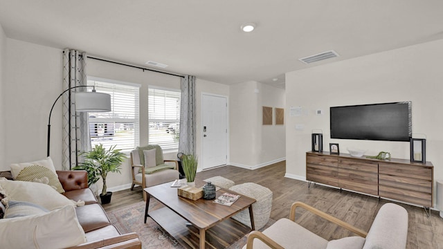 living room featuring wood-type flooring