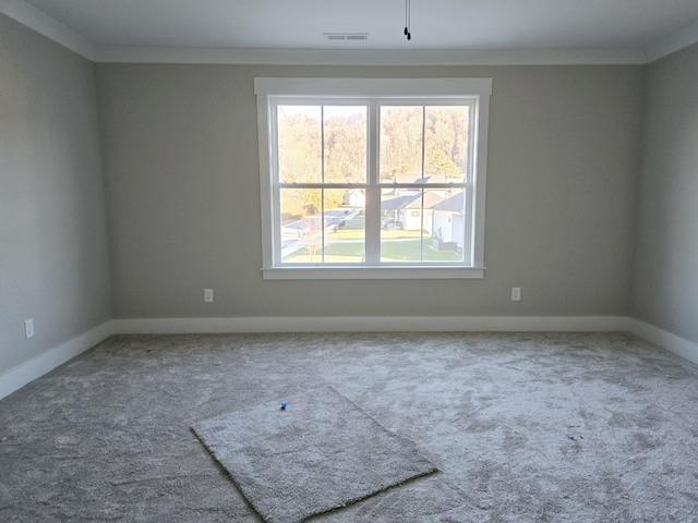 spare room featuring carpet and crown molding