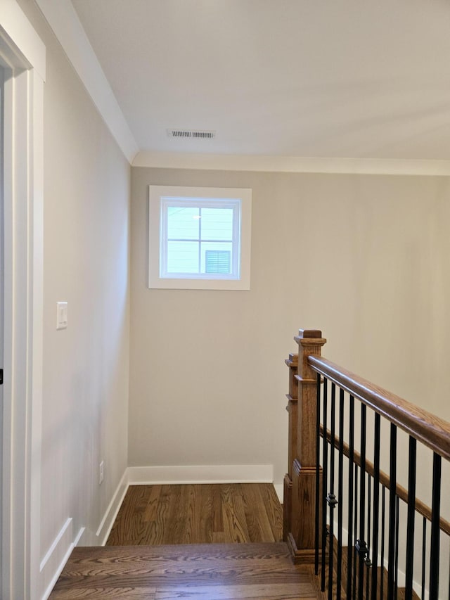 corridor with dark wood-type flooring and crown molding