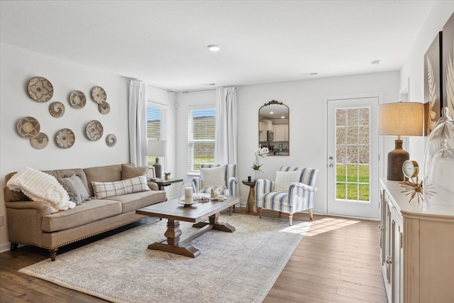 living room with wood-type flooring and plenty of natural light