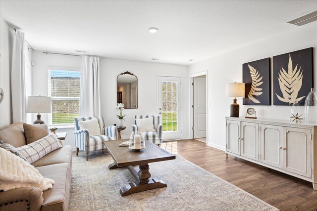 living room with hardwood / wood-style flooring