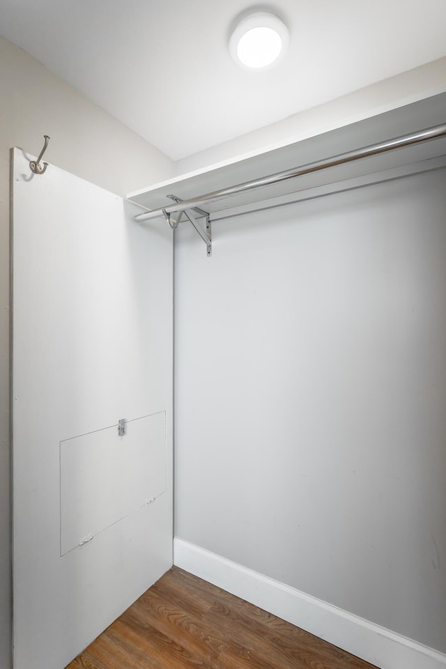 spacious closet featuring dark wood-style floors