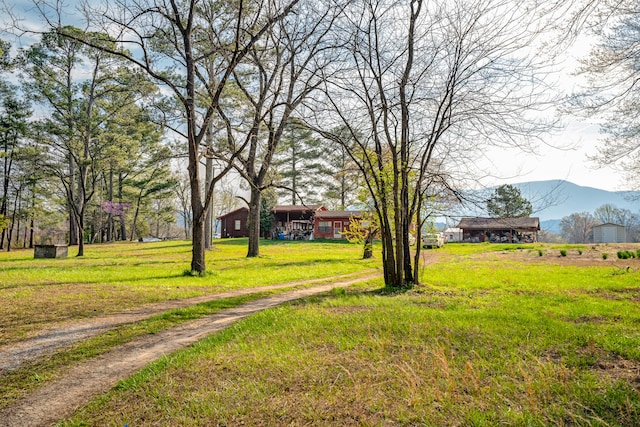 view of yard featuring a mountain view