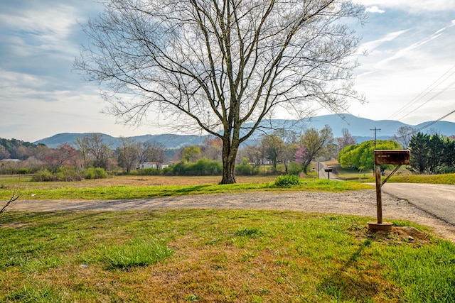 view of yard with a mountain view