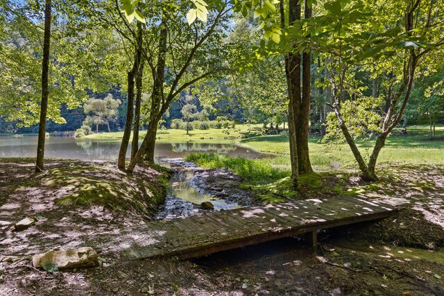 view of property's community featuring a water view