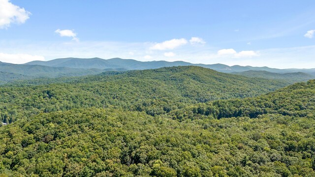 view of mountain feature