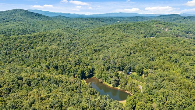 aerial view with a water and mountain view