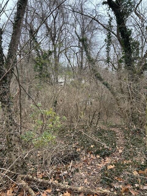 Listing photo 2 for 1007 Evanwood Dr E, Lookout Mountain TN 37350