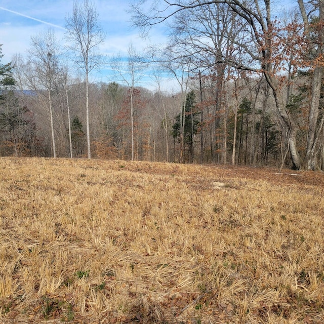 Listing photo 3 for 865 Nature Trl, Soddy Daisy TN 37379