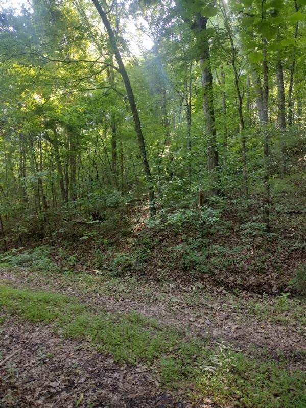 2 Boulder Dr, Dunlap, TN 37327 - photo 2