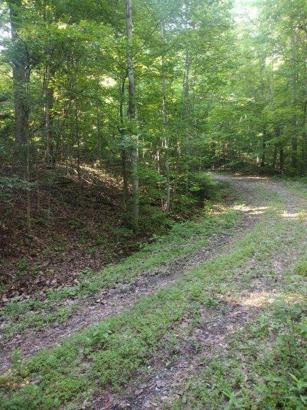 2 Boulder Dr, Dunlap, TN 37327 - photo 4