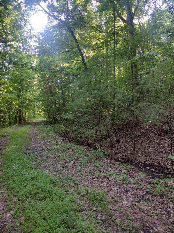 2 Boulder Dr, Dunlap, TN 37327 - photo 5