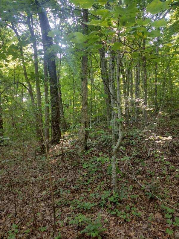 2 Boulder Dr, Dunlap, TN 37327 - photo 6