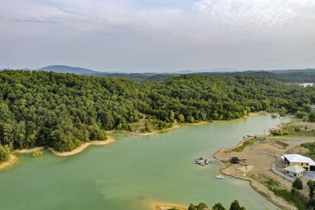 0 Parrotts Chapel Rd, Sevierville, TN 37876 - photo 4