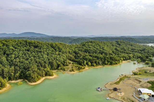 0 Parrotts Chapel Rd, Sevierville, TN 37876 - photo 5