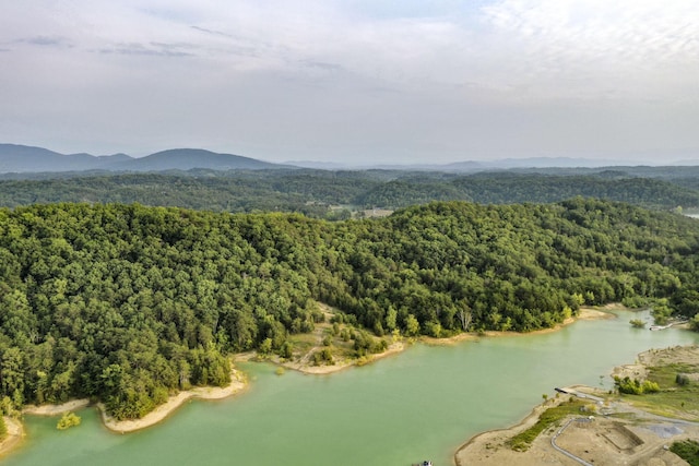 0 Parrotts Chapel Rd, Sevierville, TN 37876 - photo 6