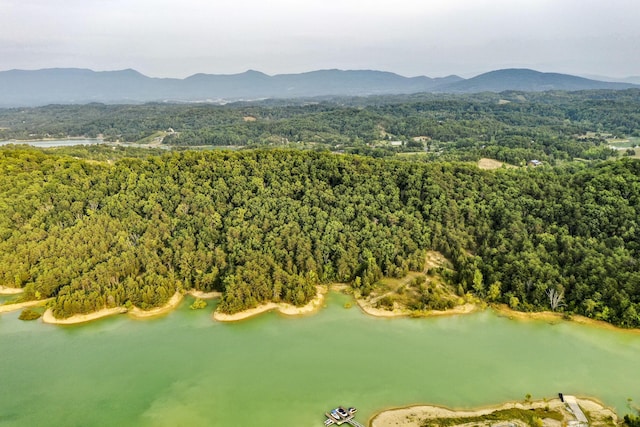 0 Parrotts Chapel Rd, Sevierville, TN 37876 - photo 7