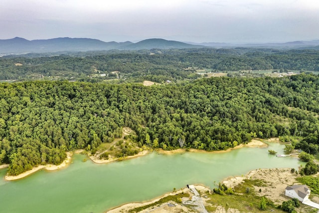 0 Parrotts Chapel Rd, Sevierville, TN 37876 - photo 8