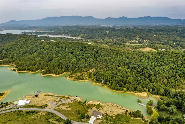 0 Parrotts Chapel Rd, Sevierville, TN 37876 - photo 10