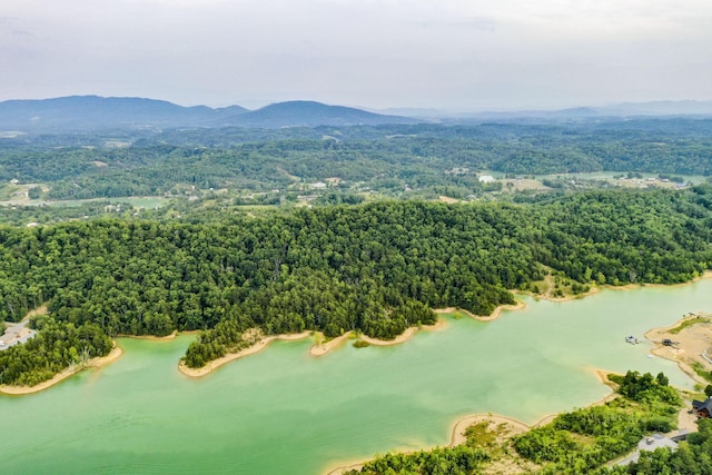 0 Parrotts Chapel Rd, Sevierville, TN 37876 - photo 24