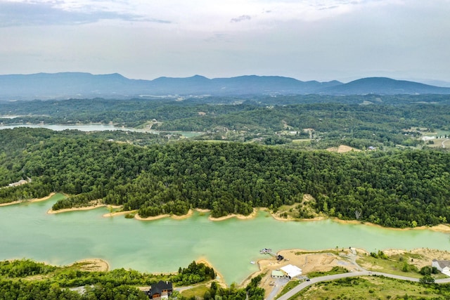 0 Parrotts Chapel Rd, Sevierville, TN 37876 - photo 26