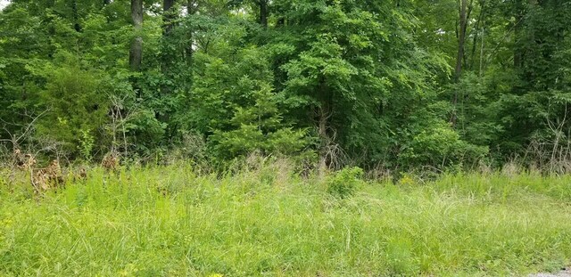 LOT114 Randall Fugate Rd Unit 114, Spring City TN, 37381 land for sale