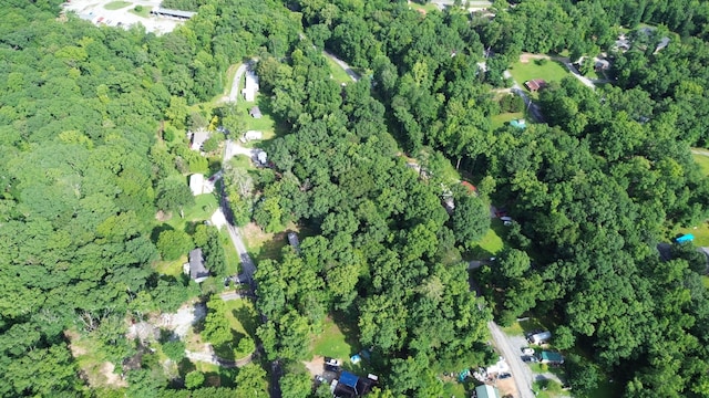 LOT114 Randall Fugate Rd Unit 114, Spring City, TN 37381 - photo 3