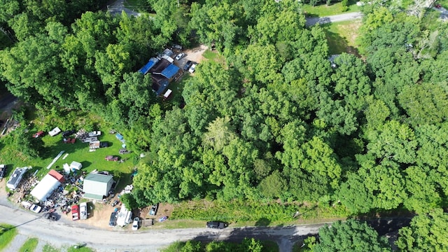 LOT114 Randall Fugate Rd Unit 114, Spring City, TN 37381 - photo 4