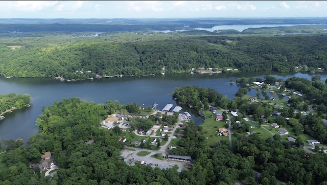 LOT114 Randall Fugate Rd Unit 114, Spring City, TN 37381 - photo 5