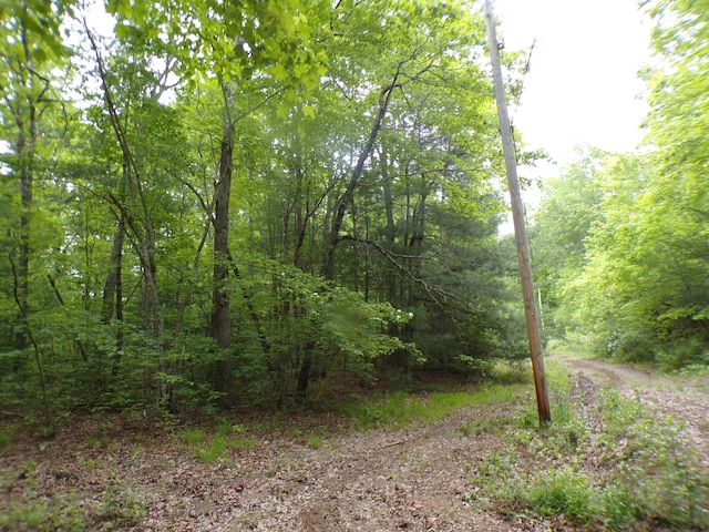 Listing photo 3 for 0 Vista Trl Unit 160, Crossville TN 38571