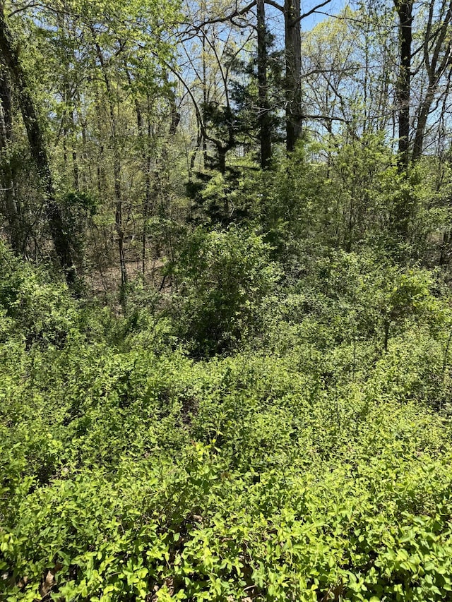 22 Hidden Ridge Loop, Dunlap TN, 37327 land for sale