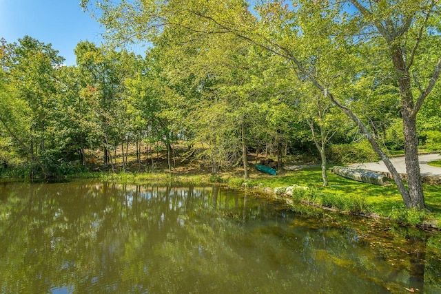 0 Stonesthrow Ln Lot 1, Lookout Mountain, GA 30750 - photo 4