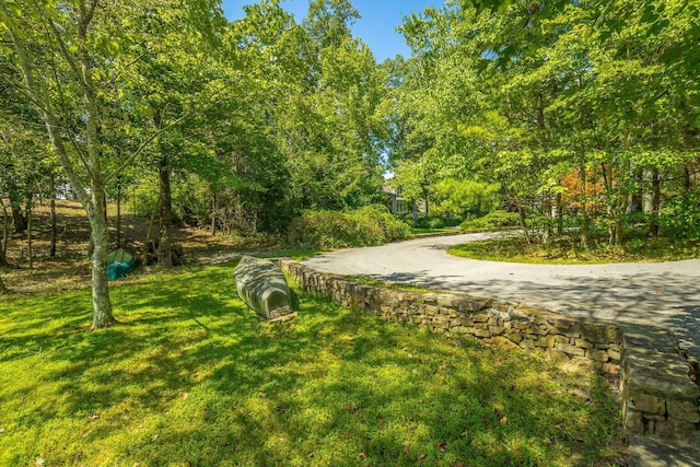 0 Stonesthrow Ln Lot 1, Lookout Mountain, GA 30750 - photo 3