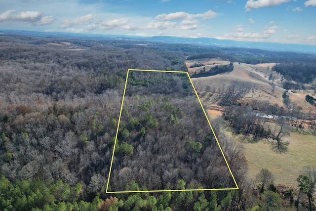 0 Bearden Ln, Birchwood TN, 37308 land for sale