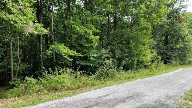 Listing photo 3 for 2105 Black Wolf Dr, Crossville TN 38572