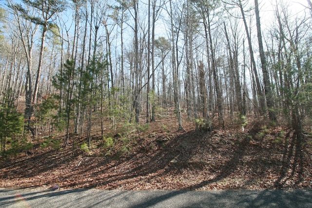 0 Tall Tree Trl Unit 407, Dunlap TN, 37327 land for sale