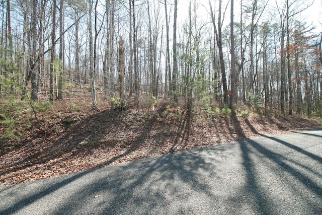 Listing photo 2 for 0 Tall Tree Trl Unit 407, Dunlap TN 37327