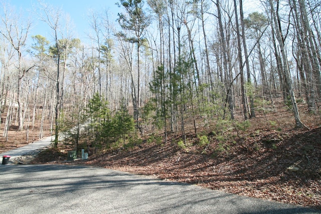 Listing photo 3 for 0 Tall Tree Trl Unit 407, Dunlap TN 37327