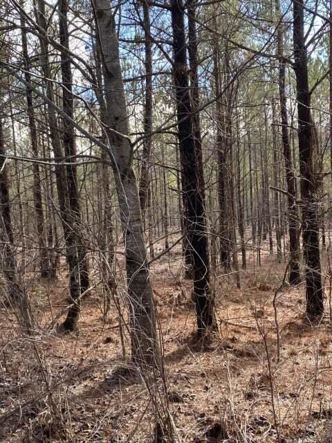 LOT3 Thomas Springs Rd Lot 3, Crossville TN, 38572 land for sale