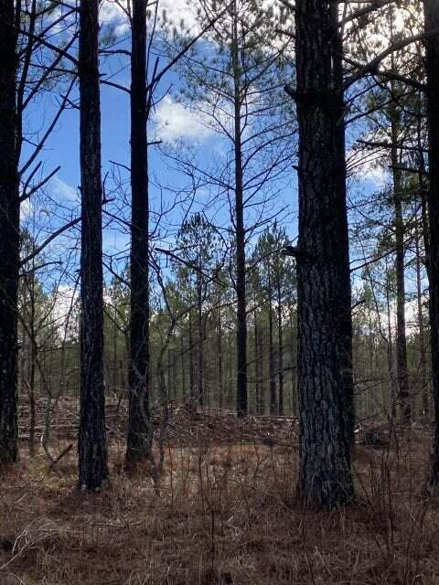 Listing photo 3 for LOT3 Thomas Springs Rd Lot 3, Crossville TN 38572