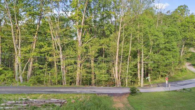 0 King Hollow Rd, Sevierville, TN 37876 - photo 4