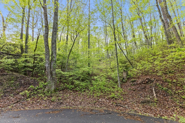 0 King Hollow Rd, Sevierville, TN 37876 - photo 5
