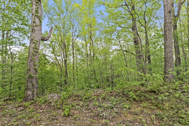 0 King Hollow Rd, Sevierville, TN 37876 - photo 6