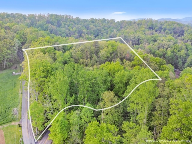 0 King Hollow Rd, Sevierville, TN 37876 - photo 1