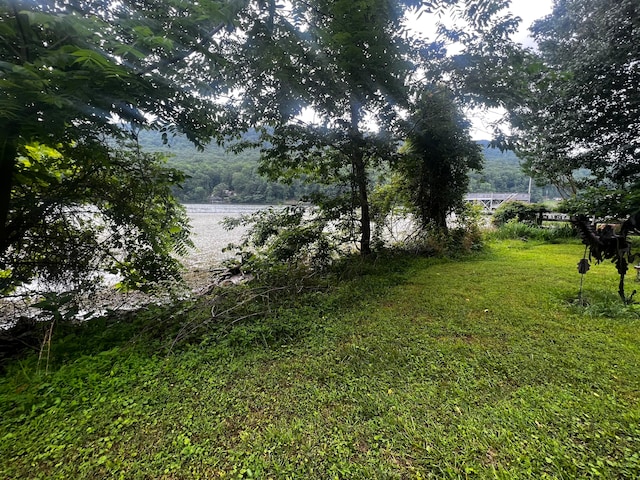 Listing photo 2 for 00 Mullins Cove Rd, Whitwell TN 37397