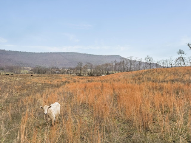 0 Kemmer Rd, Crossville, TN 38555 - photo 4