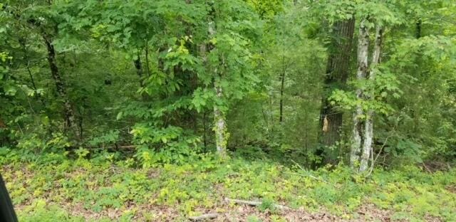 LOT137 Randall Fugate Rd, Spring City TN, 37381 land for sale