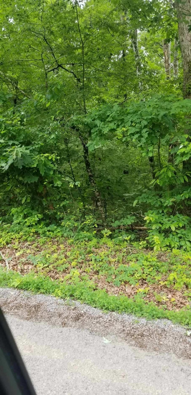 Listing photo 2 for LOT137 Randall Fugate Rd, Spring City TN 37381