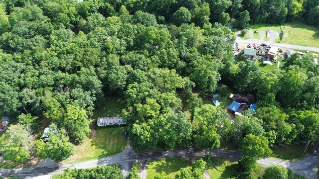 LOT137 Randall Fugate Rd, Spring City, TN 37381 - photo 4