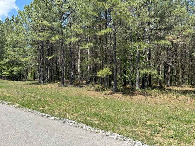 250 Bear Trace Dr Unit Rb 200, Jasper, TN 37347